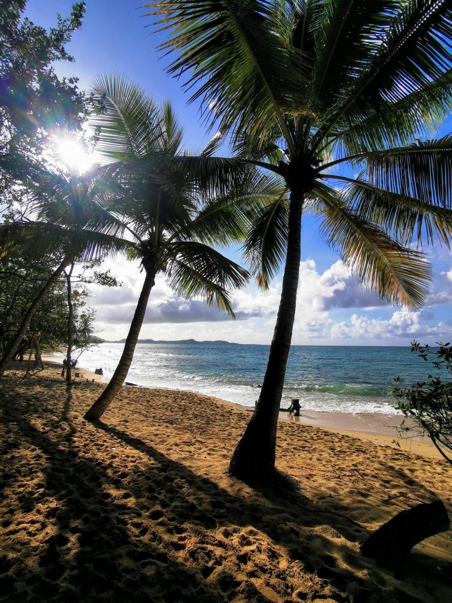 Ti'Bakoua A Sainte-Luce Plage Et Piscine Exterior photo